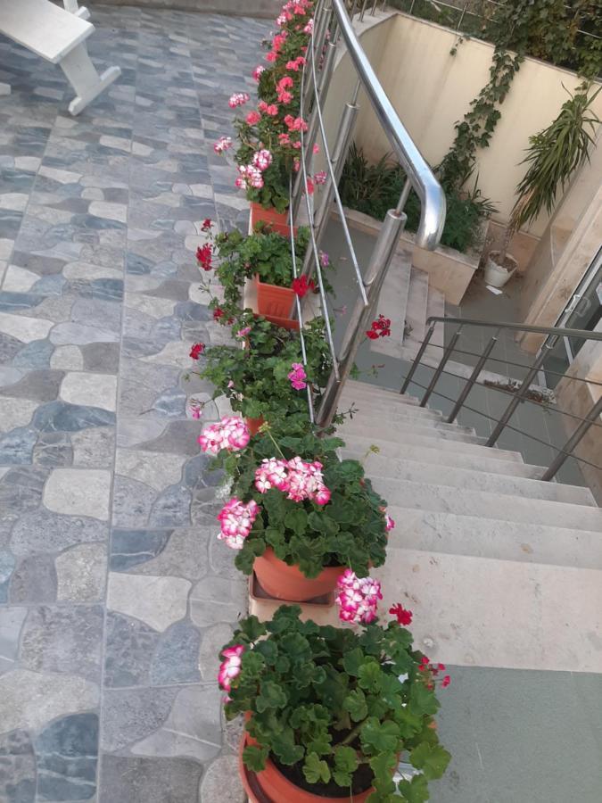 Family Hotel Coral Σωζόπολη Εξωτερικό φωτογραφία